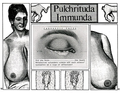 page 10-11 - 53.3 K - ACTUAL SIZE - Click to enlarge