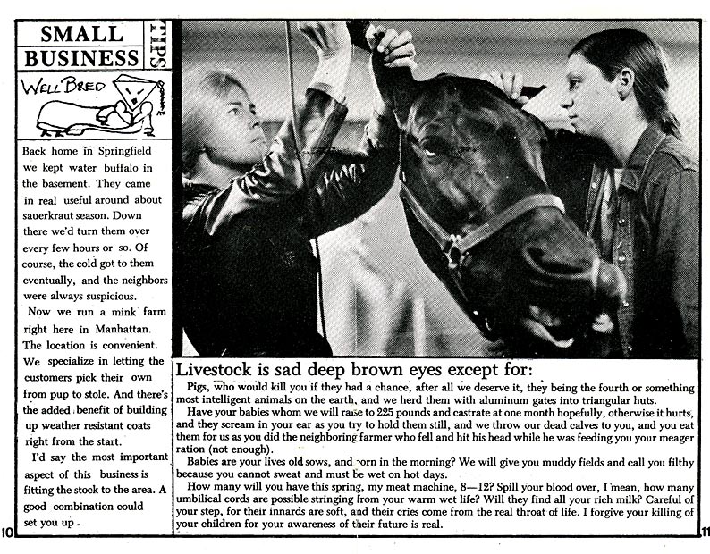 pages 10 - 11 - 135.1 K