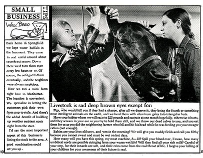 page 10-11 - 53.3 K - ACTUAL SIZE - Click to enlarge