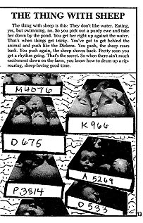 page 13 - 31.9 K - ACTUAL SIZE  - Click to enlarge