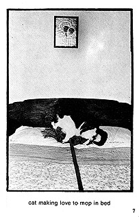 page 7 - 33.7 K - ACTUAL SIZE  - Click to enlarge