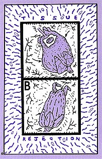 page 6 - 20.8 K - ACTUAL SIZE - Click to enlarge