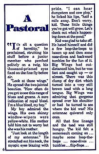 page 6 - 20.8 K - ACTUAL SIZE - Click to enlarge