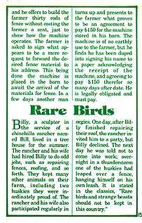 page 15 - 31.9 K - ACTUAL SIZE  - Click to enlarge