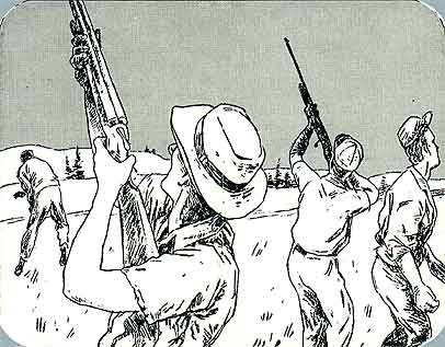 page 12-13 - 53.3 K - ACTUAL SIZE - Click to enlarge