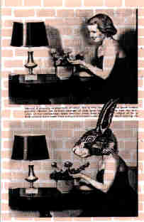 page 20 - 36.7 K - ACTUAL SIZE - Click to enlarge