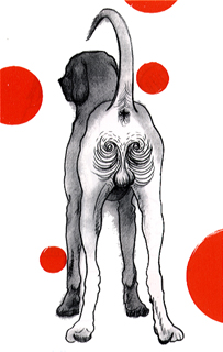 page 5 - 18.9 K - ACTUAL SIZE  - Click to enlarge