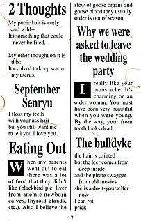 page 17 - 20.8 K - ACTUAL SIZE  - Click to enlarge