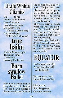 page 17 - 20.8 K - ACTUAL SIZE  - Click to enlarge