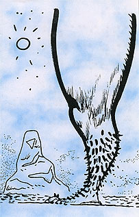 page 5 - 18.9 K - ACTUAL SIZE  - Click to enlarge