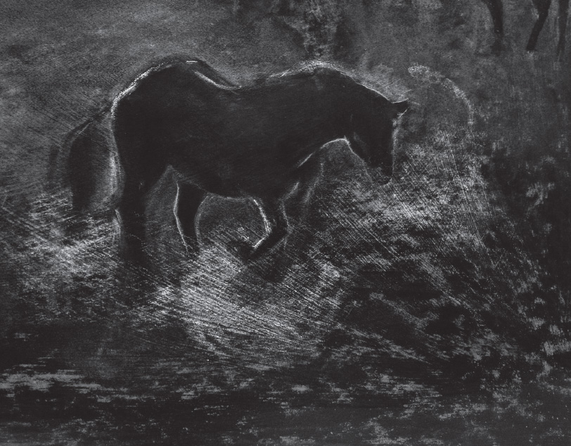 pages 12 - 13 - 135.1 K